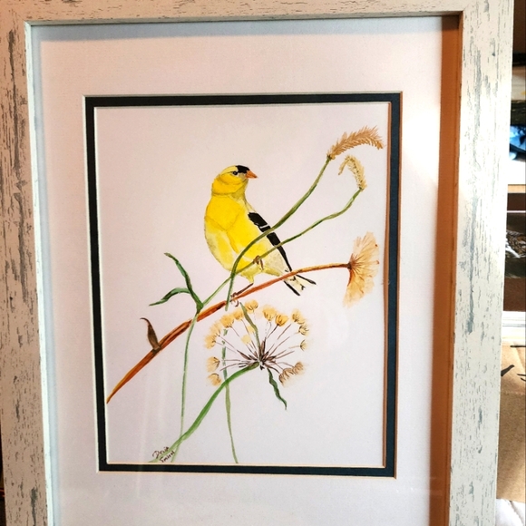 Original Watercolor Painting of Goldfinch